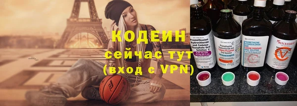 шишки Аркадак