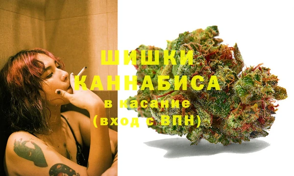 индика Армянск