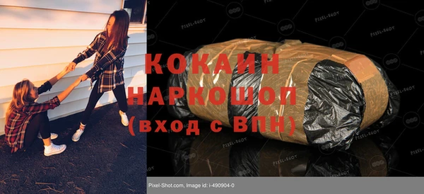шишки Аркадак