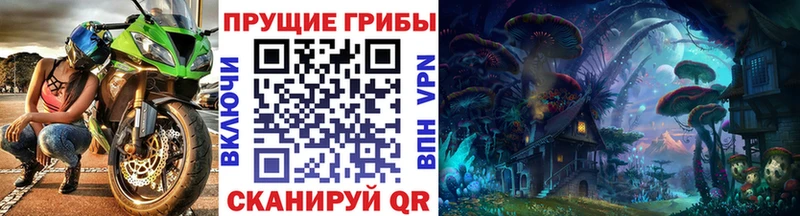 где купить наркотик  Полярный  mega ССЫЛКА  Галлюциногенные грибы Psilocybe 